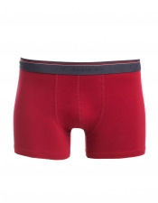 Boxer