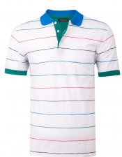 POLO YAKA ÇİZGİLİ T-SHIRT